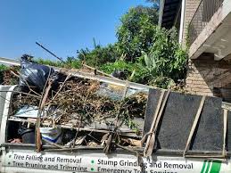 Same-Day Junk Removal Services in Mancos, CO